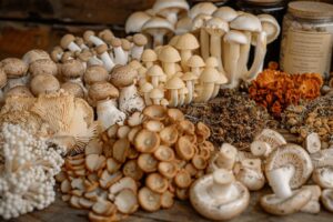 Assortiment de différentes variétés de champignons comestibles sur une surface en bois