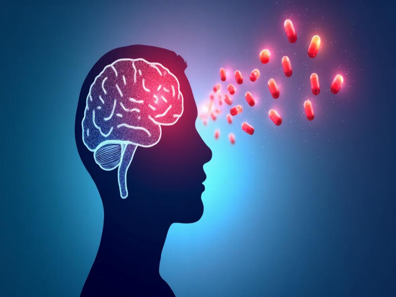 Tout savoir sur les nootropiques : utilisation, posologie et sécurité